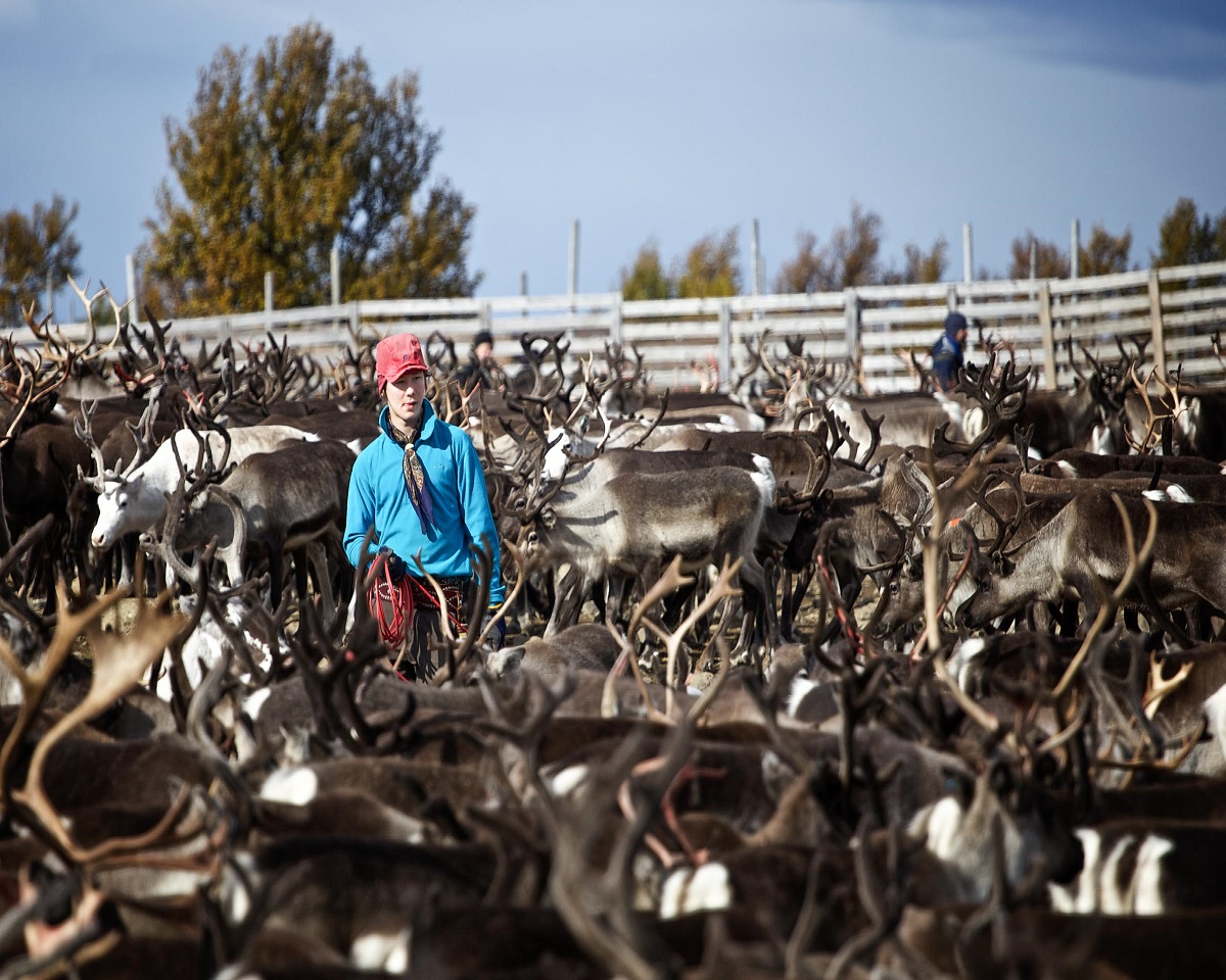 Bild på barn på en klippa